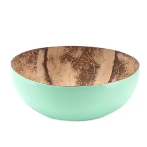 Eco-friendly wholesales natural trendy lacquered outside coconut shell bowl fruit yogourt snack coconut bowl from Vietnam