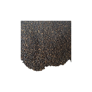 Pimienta negra a granel para su uso en condimentos de comida rápida y comidas preenvasadas - Product Image 5