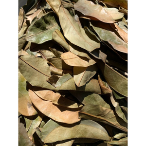 Hojas de Guanábana secas naturales, té para mujer, mezcla de hierbas naturales, Hojas de Guanábana recién secas - Product Image 1