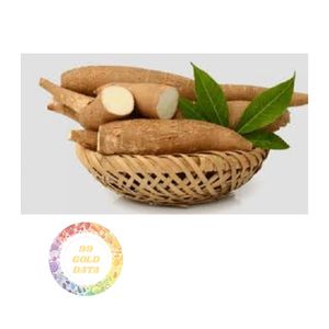 YUCA CONGELADA ESTÁNDAR DE EXPORTACIÓN PROVEEDOR AL POR MAYOR DIRECTO DE FÁBRICA DE VIETNAM CON CANTIDAD A GRANEL Y CALIDAD ALIMENTARIA CONFIABLE - Product Image 4
