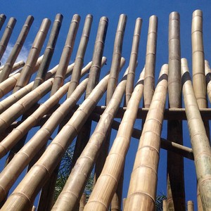 Wholesale 100% Natural Raw Bamboo Sticks <b>Poles</b> Agriculture Large With Different Size Bamboo Stake - Product Image 2