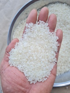 Arroz Camolino Calrose Pulido Premium |   Grano Medio |   Listo para Exportar a Importadores y Distribuidores de Oriente Medio - Riz - Arroz- Ris - Product Image 4