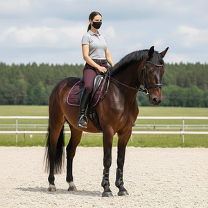 Pantalones de Montar a Caballo Personalizados de Alta Calidad para Hombre, Leggings de Equitación, Mallas, Ropa Masculina Sostenible - Product Image 5