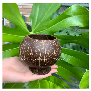 Ensemble biodégradable de tasse et de cuillère de noix de coco pour employer la vaisselle, ustensiles de cuisine au restaurant, maison, mariage,… - Product Image 2