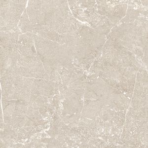 Elige a los exportadores más confiables de la India para azulejos de porcelana premium de 600x600 mm, y convierte tu hogar y oficina en un lugar más decorativo con los azulejos. - Product Image 6