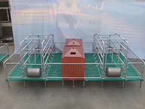 Stylo de mise bas galvanisé à chaud de haute qualité/Cage nouvelle condition pour les caisses de ferme de truie de porc équipement d'élevage - Product Image 2