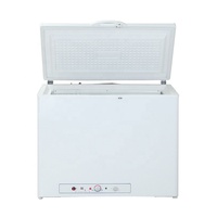 Congélateur commercial solaire/électrique/gaz avec batterie de secours, classe d'efficacité énergétique A++, dégivrage automatique, usage domestique