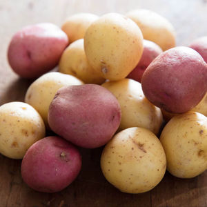 Pommes de terre fraîches biologiques de nouvelle récolte (Solanum Tuberosum) à vendre - Product Image 1
