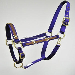 Concevez votre propre licou de cheval Plusieurs couleurs Sangle en nylon de qualité supérieure Licou de cheval en nylon avec conchos cousus sur le nez et les joues - Product Image 4