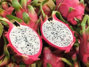 Exportateur de fruits du dragon du Vietnam fournissant chaque semaine de la chair rouge et blanche fraîche à l'Inde - Product Image 5