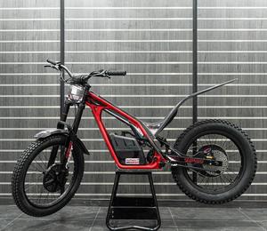 TOUT NEUF  TXP-24 Moto de course 80cc >80km/h Automatique Électrique - Product Image 3