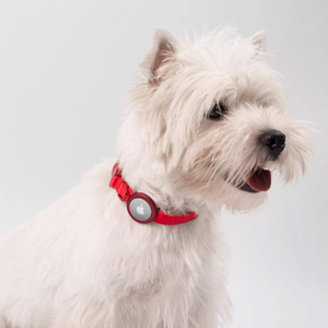 Soporte para AirTag de la Marca Heibor, <span class=keywords><strong>Collar</strong></span> para Mascotas Antipérdida, Resistente al Agua, Rastreador <span class=keywords><strong>GPS</strong></span> de Seguridad para Perros y Gatos de Todos los Tamaños - Product Image 6