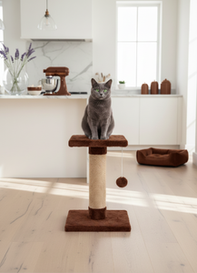 Grattoir pour chats Cocoa Dream de haute qualité, adapté à toutes les races et tailles de chats. - Product Image 3