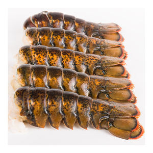 กุ้งมังกรแคนาดาแบบทั้งตัว แช่แข็งแบบ UHP พร้อมกระบวนการ BQF คุณภาพสูง จัดส่งจำนวนมาก - Product Image 4