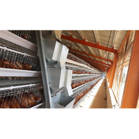 Poulaillers industriels /hangar poulet / ferme avicole