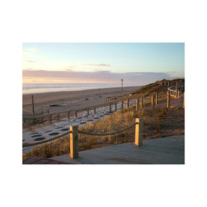 High Quality Beech <b>Wood</b> <b>Logs</b> <b>for</b> Furniture Making Available <b>for</b> <b>Sale</b> at Competitive Prices - Product Image 3