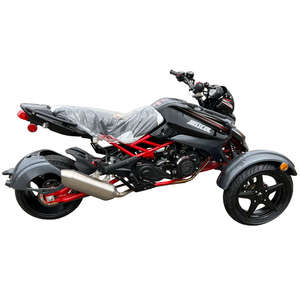 Meilleure qualité Trike freins à disque Street Legal automatique CARB outils à main - Product Image 2