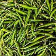 ผลิตภัณฑ์จากธรรมชาติพริกเขียวสดออร์แกนิก - Product Image 2