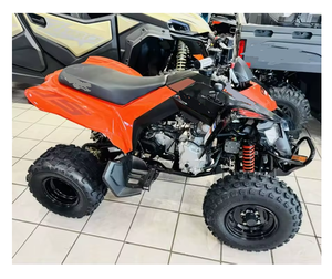 ยอดขายดีที่สุด ล่าสุด ปี 2025 แคน-แอม ดีเอส 250 3JSA - Product Image 4