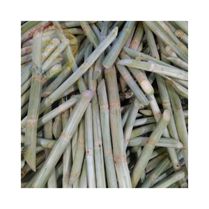 Bâtonnets de canne à sucre congelés IQF biologiques pour jus et cocktails emballage en vrac - Product Image 6