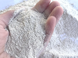 Polvo de concha de ostra triturada ecológica para mejorar el suelo - Product Image 4