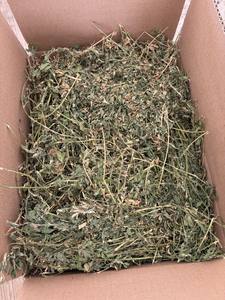 Heno de Alfalfa Sin OGM, Paja de Timothy y Lecho para Animales en Europa y EE. UU. a la Venta y para Tiendas de Suministros para Mascotas - Product Image 6
