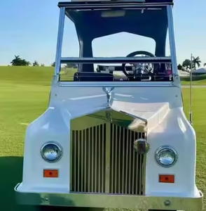 LISTO PARA ENVIAR Carro de Golf Usado 2024 E-l-m-m-c-0 Royal Ride con Asientos de Cuero, Volante a la Izquierda y Cámara Trasera - Product Image 1