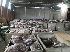 Chất lượng cao cao su tự nhiên <span class=keywords><strong>RSS</strong></span> 3 nguyên liệu Việt Nam cung cấp gân hun khói tấm - Product Image 2