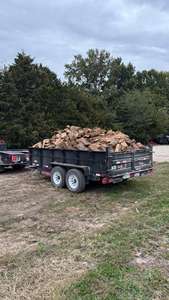 Prix d'usine Bois de chauffage de hêtre/chêne sec séché au four 100% chêne naturel en sacs sur palettes Origine Royaume-Uni Longueur 25 cm - Product Image 4