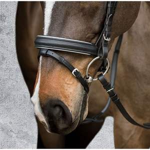 Bride de Dressage Cristal - Product Image 5