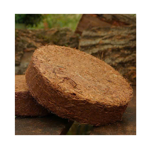 Discos de Fibra de Coco de Alta Demanda para Anillos de Árboles - Product Image 1