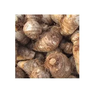 Fournisseur de prix bon marché de l'Allemagne Taro frais de qualité Taro, TARO frais 40G/60G/80G/100G au prix de gros avec expédition rapide