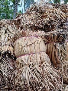 ผักตบชวาดิบเพื่อการส่งออก: ผักตบชวาธรรมชาติจากเวียดนามเป็นมิตรกับสิ่งแวดล้อมจำนวนมากสำหรับงานฝีมือที่มีคุณภาพสูงที่ยั่งยืน - Product Image 6