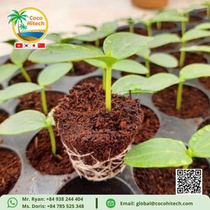 CULTIVO DE PLANTAS EN MACETAS CON TURBA DE COCO USO COMO COMPOST SIN TURBA - Product Image 3