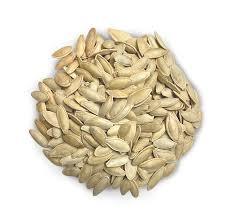 Pumpkin Seeds Fresh & Roasted Kernel Styles Available in <b>Dried</b> Processed - Product Image 3