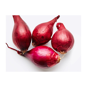 Ai Cập Xuất Khẩu Xuất Khẩu Chất Lượng Cấp Thực Phẩm Màu Đỏ Tươi Hành Tây-Rộng rãi Bán Tự Nhiên Và Ngon Cho Mua Số Lượng Lớn - Product Image 2