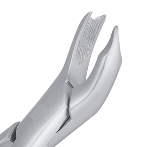 Fórceps de extracción dental manual de acero inoxidable de alta calidad OEM instrumentos quirúrgicos dentales eficientes para el cuidado dental - Product Image 4