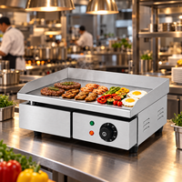 Plaque de cuisson électrique professionnelle 1600W/3000W, plaque de 8 mm d'épaisseur en acier inoxydable, pour comptoir de restaurant, 110V/220V