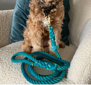 สายจูงสุนัขแฮนด์เมด, สายจูงจัดงานแต่งงาน, อุปกรณ์เสริมสายจูงสุนัขแบบอ่อน สายจูงสุนัขแฮนด์เมด ชุดสายจูงสัตว์เลี้ยง - Product Image 1