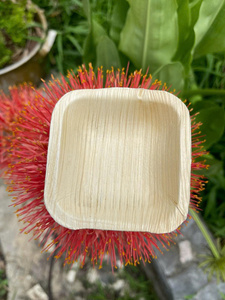 Assiette et bol en feuille de palmier de qualité supérieure compostables élégants et robustes pour les événements traiteur et les fêtes Lotus bleu Mme Cherish - Product Image 5