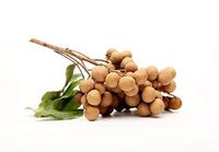 Groothandel Premium Kwaliteit IQF Diepvries Longan Tropisch Fruit uit Vietnam - Vacuüm verpakt Viet Delta Merk