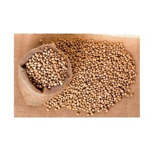 Soja sans OGM Soja de qualité supérieure pas cher Soja en gros à vendre - Product Image 3