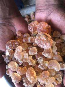 Poudre d'acacia de la plus haute qualité Sénégal Prix des produits agricoles-Gomme transformée Gomme arabe de qualité arabe du Soudan - Product Image 6