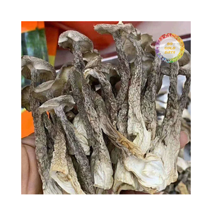 NAM LOC NHUNG SETA DE CUERNO DE CIERVO SECADO EN VIETNAM CUERNO DE CIERVO DESHIDRATADO DE ALTA CALIDAD CON GRAN VALOR AL POR MAYOR - Product Image 6