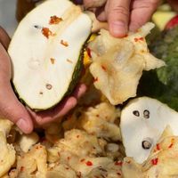 Hoge Kwaliteit Gevriesdroogde Zuurzak Fruitplakjes Topkeuze Heerlijke Veganistische Droge Graviola Snacks