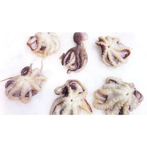 Pulpo de bebé pequeño congelado fresco recién llegado a la venta - Product Image 1