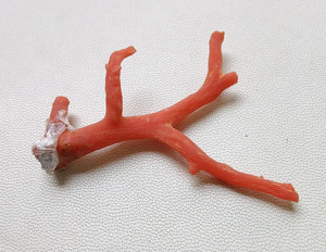 ¡Coral! Piedra preciosa de Coral italiano natural 100%, palitos de Coral rojo, calidad AAA Coral no pulido en bruto, piedra preciosa de palos de Coral marino - Product Image 4