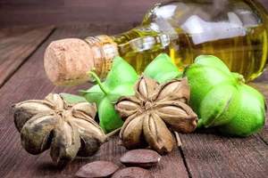 Huile Sachi d'exportation de grande quantité avec le prix concurrentiel du Vietnam - Product Image 5