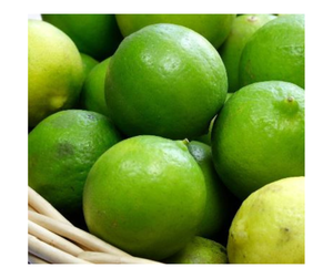 Fresh Lime Vietnam Premium 100% Natural Seedless Juicy Fresh Lime Ofertas al por mayor de alta calidad Listo para enviar para exportar ahora - Product Image 5