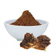 Extrait de Chaga Naturel en Vrac Qualité Exportation Produit à partir de Champignon Inonotus Obliquus Source pour Usage Alimentaire et Botanique - Product Image 3